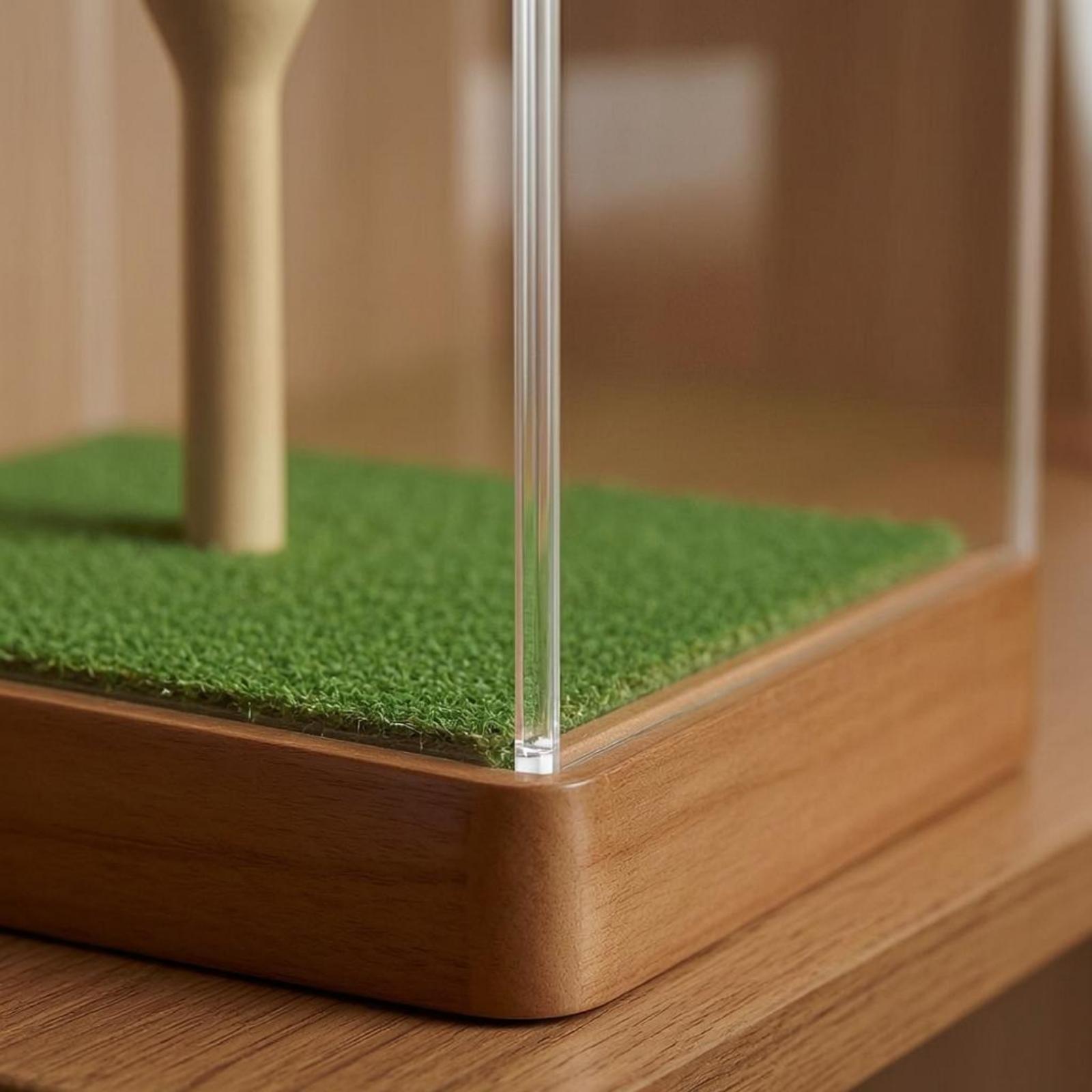 Golf Ball Case Acrylic Display - Home Decor Green 评论和价格