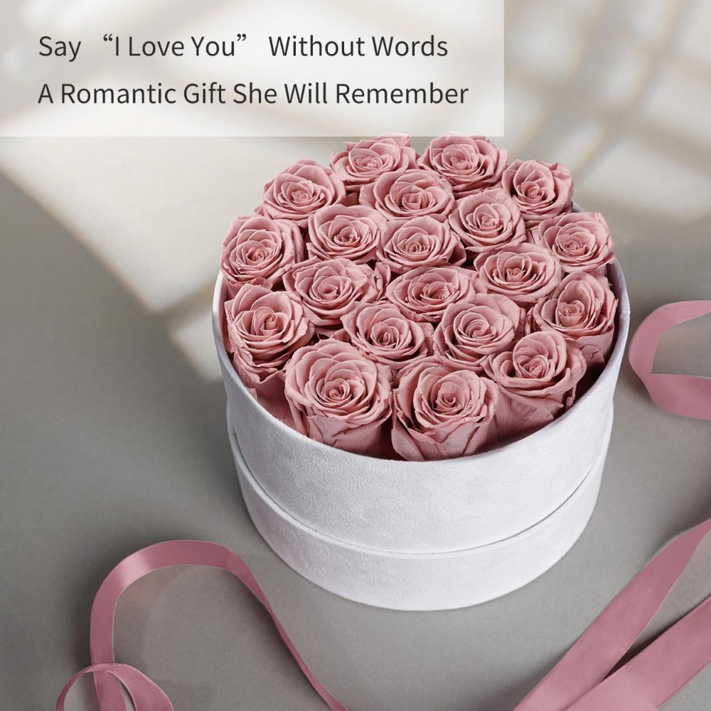 Preserved Roses Velvet Box, La - Home Decor Tulip 评论和价格