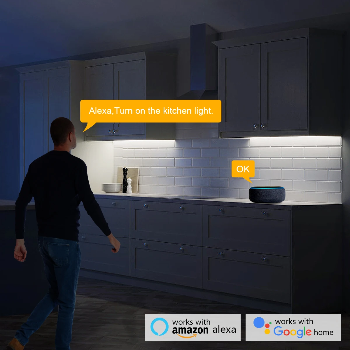 Smart Home Zigbee Tuya Voice C - Home Decor Free App 评论和价格
