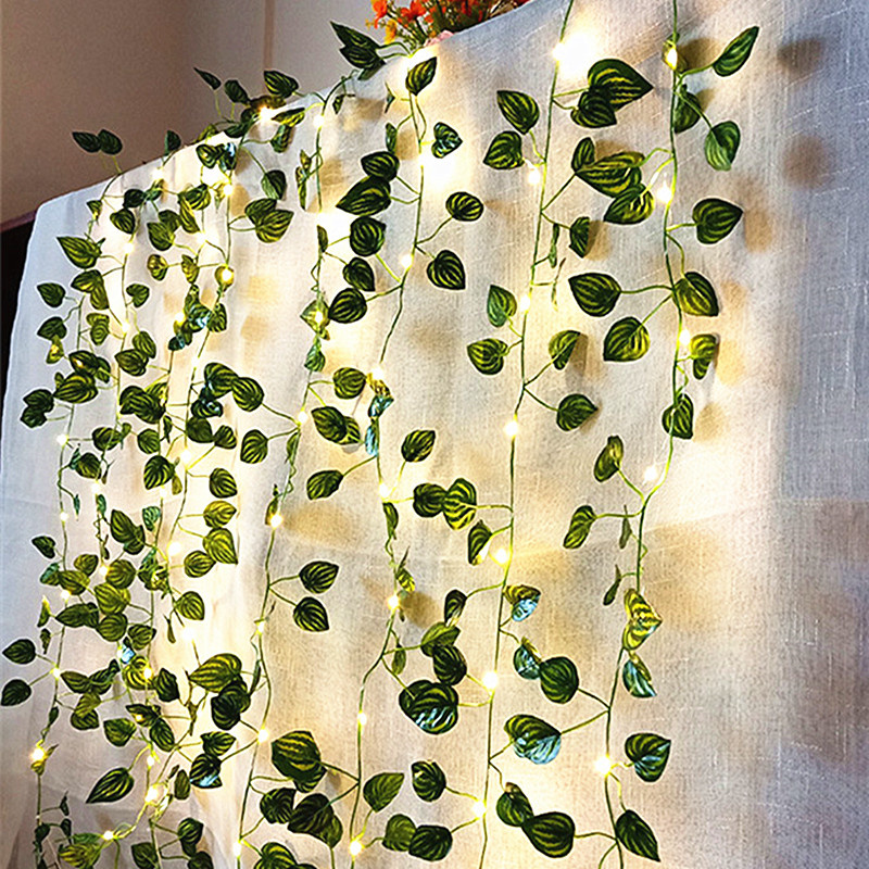 Wedding Decoration Battery Ope - String Curtain Light 评论和价格