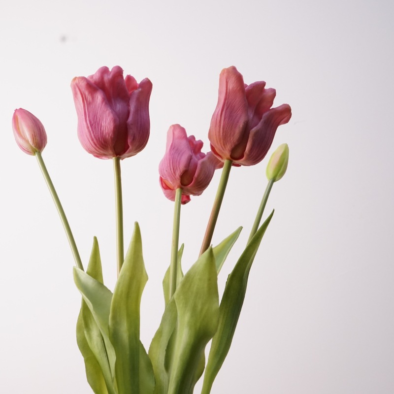 3PCS 5Head Artificial Latex Tu - Home Decor Tulip 评论和价格