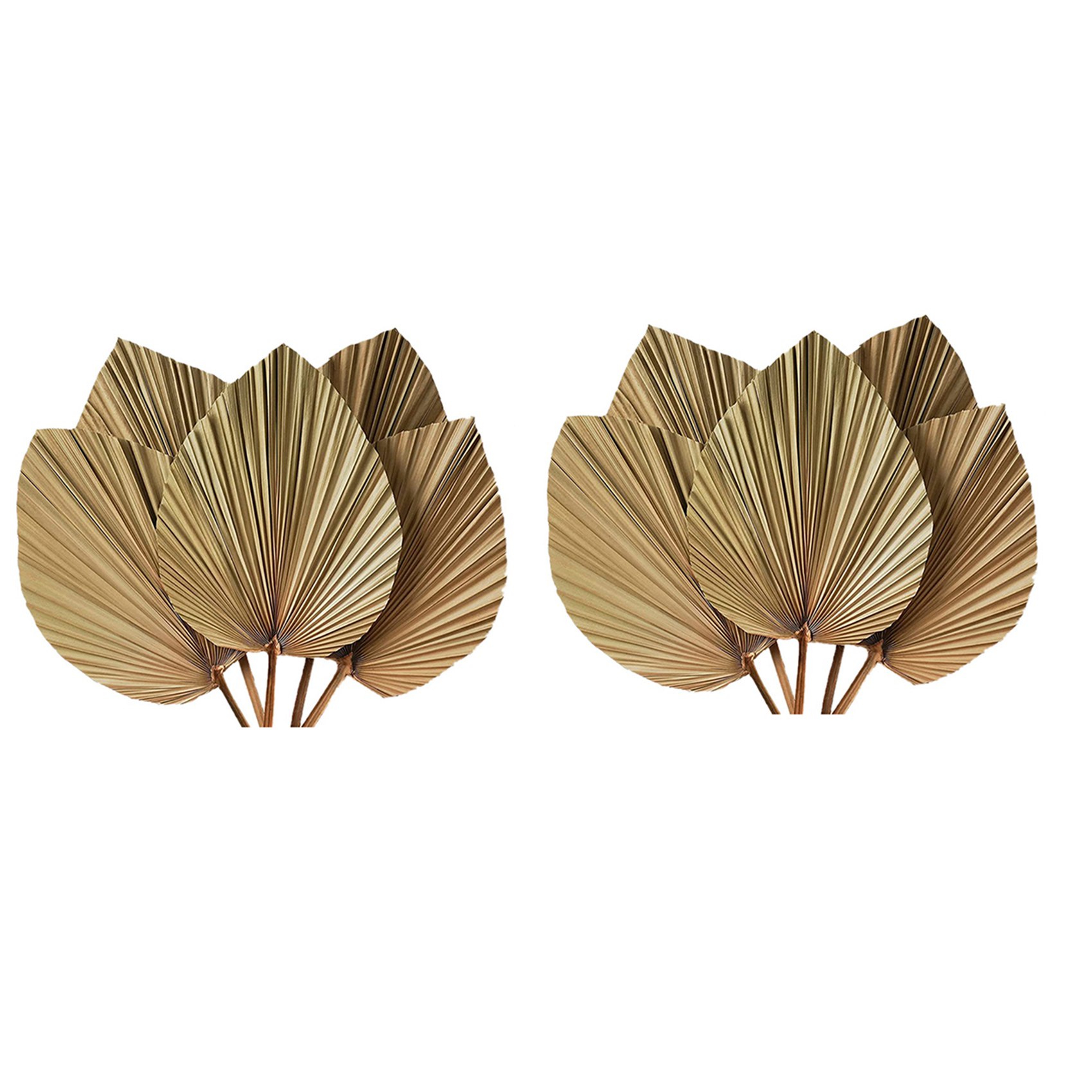 Dried Palm Leaves Room Decor 1 - X Home Decor 评论和价格