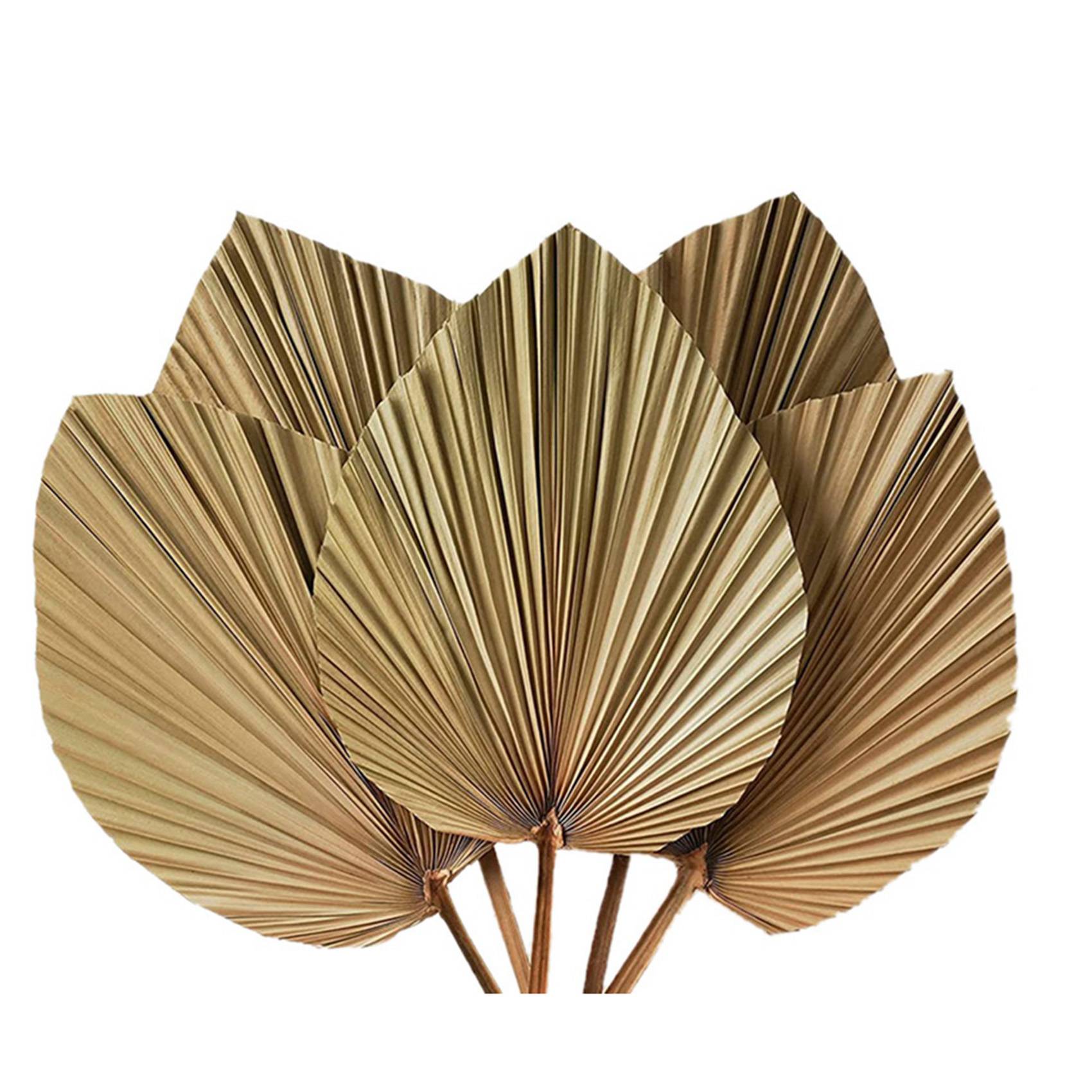 Dried Palm Leaves Room Decor 1 - X Home Decor 评论和价格